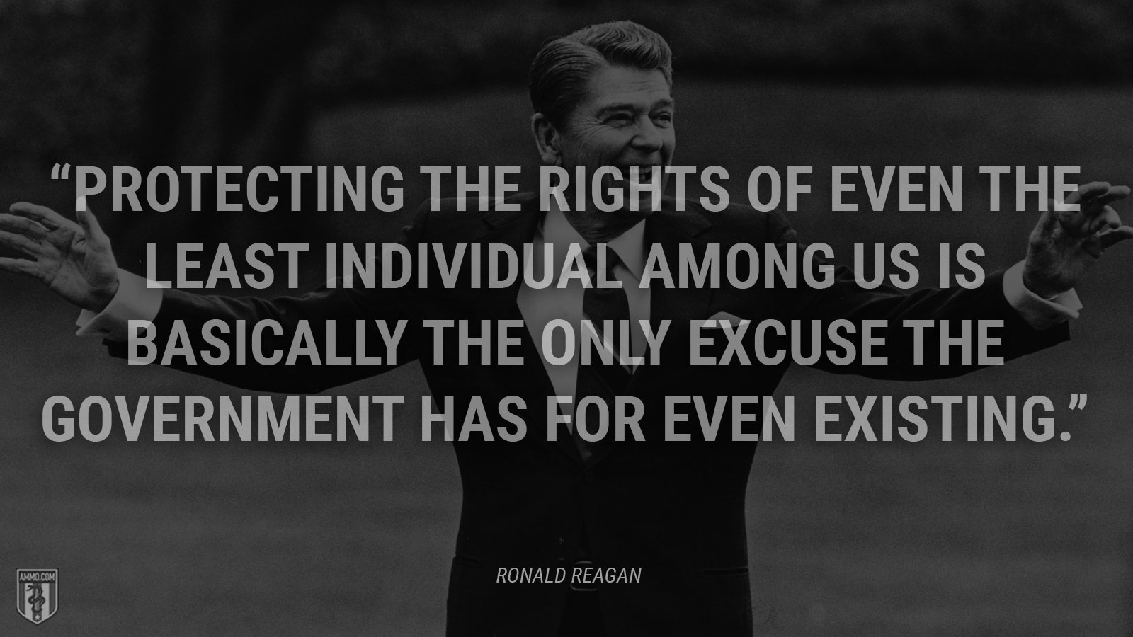 “Protecting the rights of even the least individual among us is basically the only excuse the government has for even existing.” - Ronald Reagan