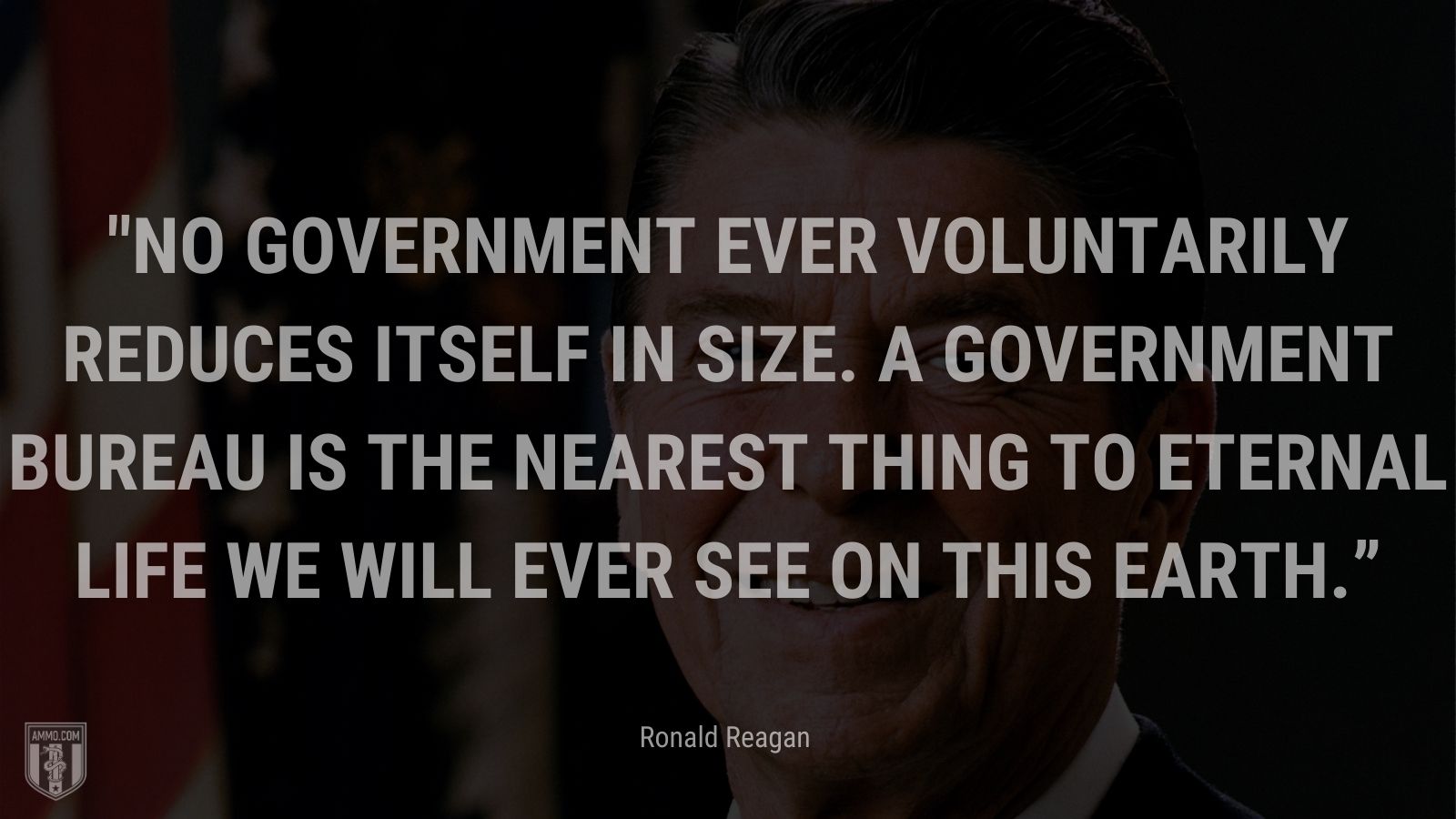 “No government ever voluntarily reduces itself in size. A government bureau is the nearest thing to eternal life we will ever see on this earth.” - Ronald Reagan