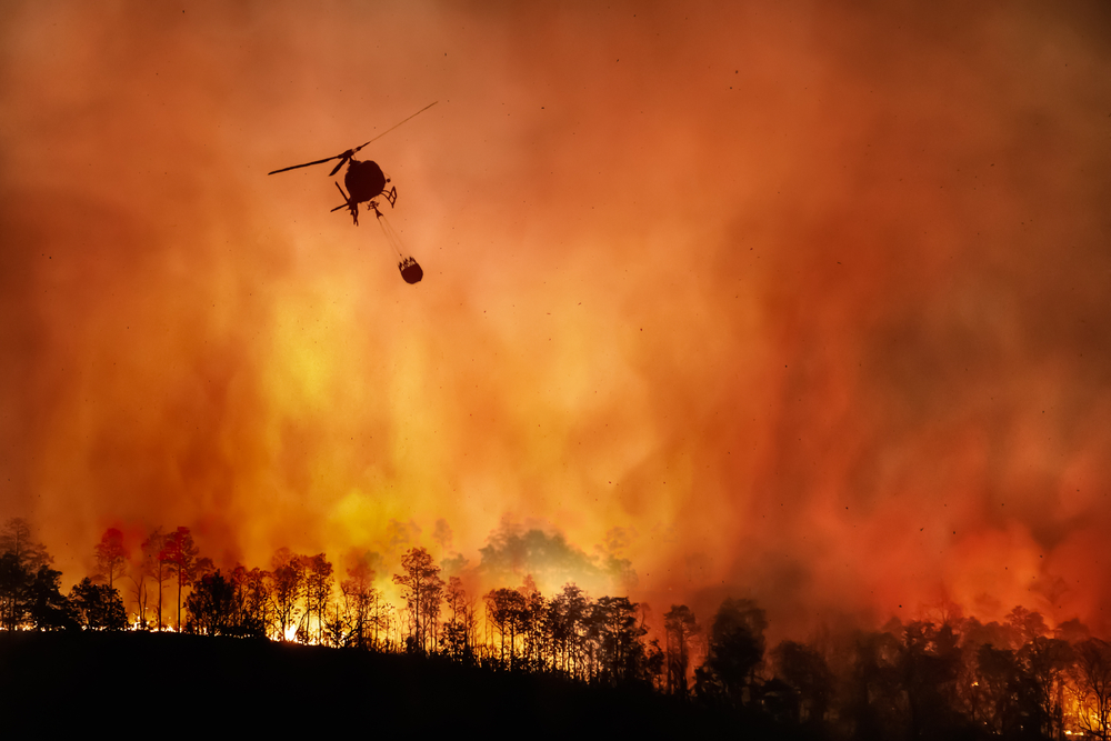 London’s Burning: Wildfires Break Out As Britain Sizzles In Hottest Day ...